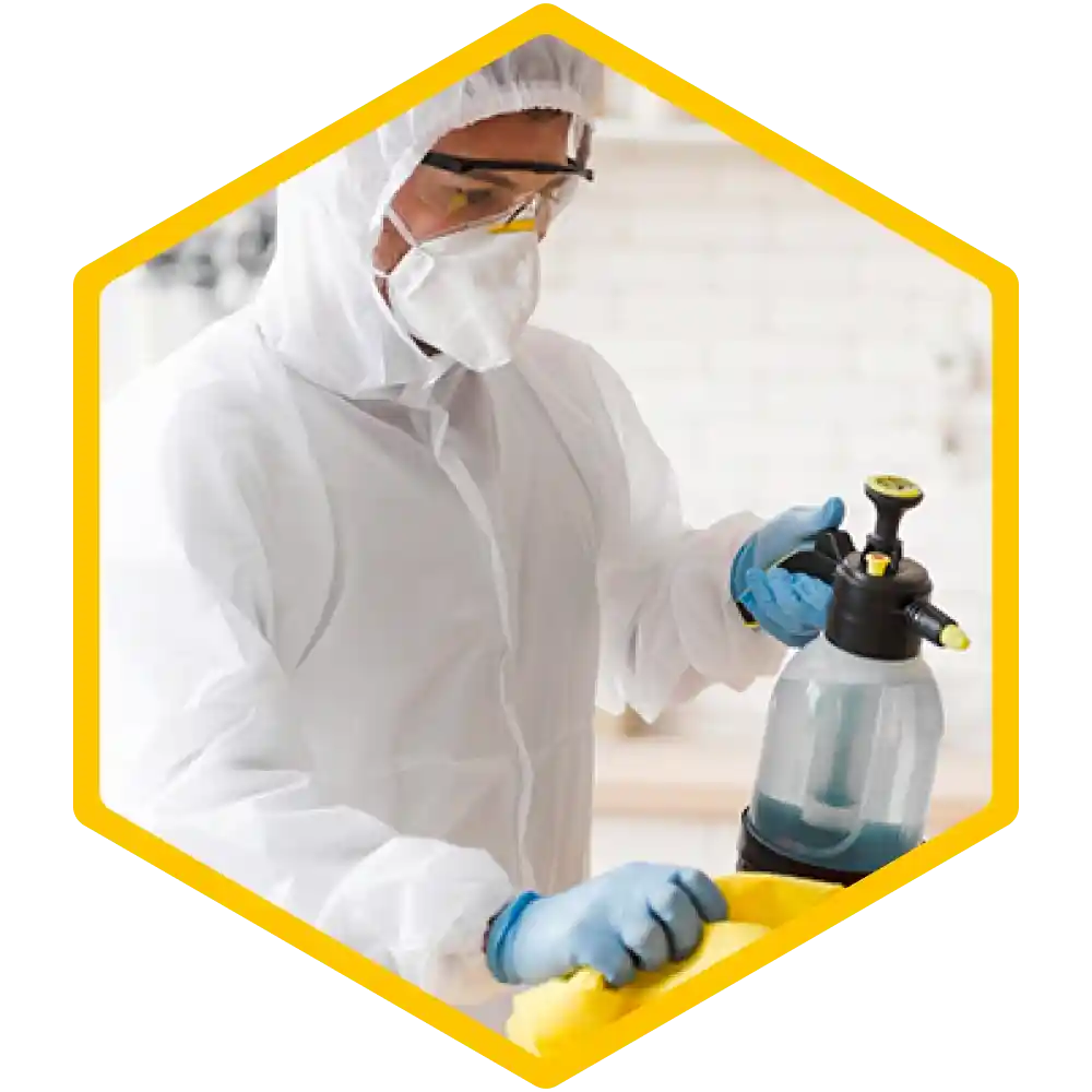 Facility staff disinfecting surfaces for hygiene.